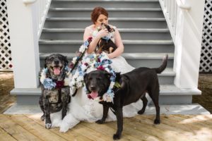 Bride with Dogs